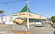 ヤオマサ大磯店（627m）