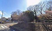 丸山城址公園（254m）