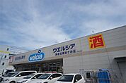 ウエルシア海老名東柏ケ谷店（883m）