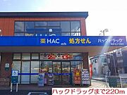 ハックドラックまで220m
