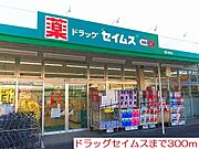 ドラッグセイムスまで300m