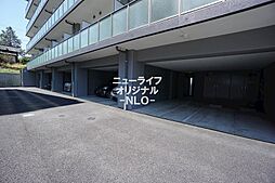 29 / 36