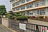 周辺：平塚市立松延小学校（553m）