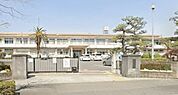 神奈川県立平塚農商高等高校（535m）