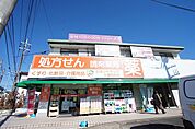 シオンドラッグ大磯国府薬局（478m）