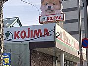 ペットショップ　KOJIMA　竹ノ塚店 670m