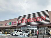 とりせん　栃木店