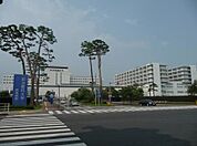 自治医科大学