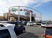 ヨークベニマル　石橋店