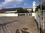 結城市立城南小学校