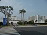 周辺：自治医科大学