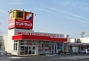 サンドラック厚木下荻野店 750m
