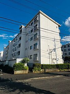 外観 外観