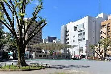 厚木公園 80m