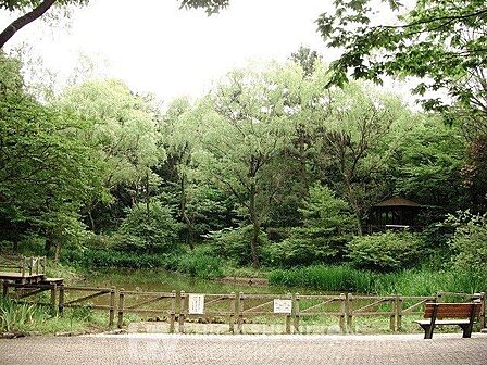 藤が丘公園 徒歩5分。東急田園都市線沿いに位置した池がある公園でこの池の水は湧き水となっています。水飲み、ベンチ、トイレ、砂場、すべり台、ブランコ、鉄棒、ターザンロープなど充実。● 400m