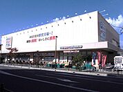 新鮮激安市場！ 洛西口店 490m