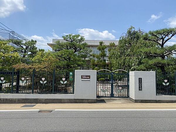 周辺を拡大表示