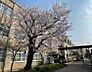 周辺：京都市立嵯峨中学校 240m