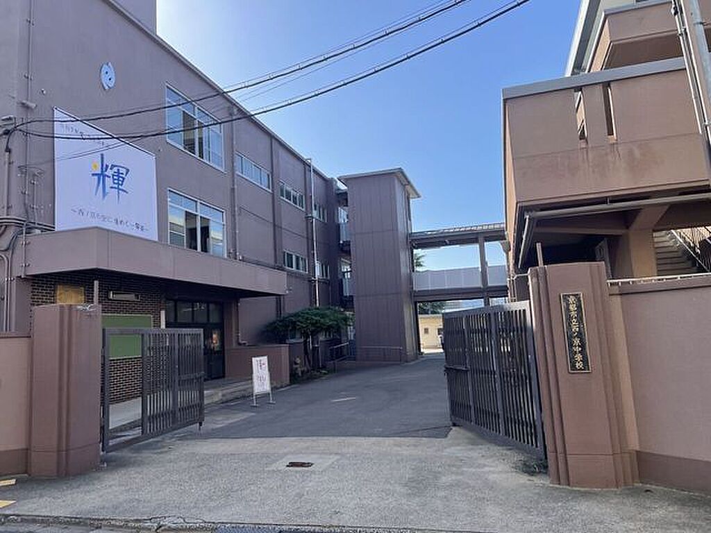 Image 19