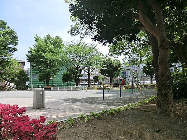 周辺を拡大表示