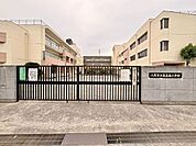 八尾市立高美南小学校 750m