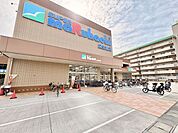 スーパーマルハチ瓜生堂店 600m
