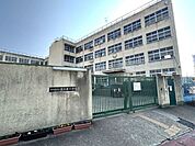 東大阪市立繩手東小学校 240m