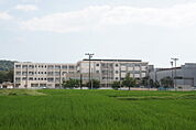 松山市立河野小学校