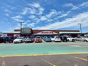 マルヨシセンター 伊予店