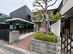 7 / 11
