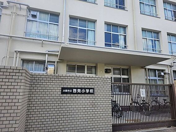啓発小学校 5...