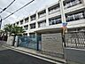 周辺：神津小学校 920m