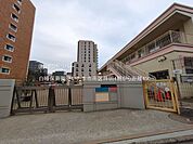 白幡保育園 450m