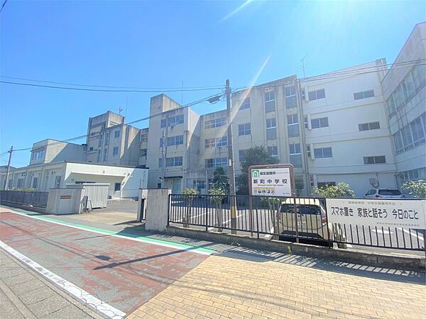 周辺を拡大表示