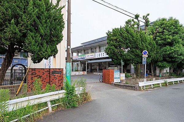 周辺を拡大表示