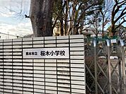 桜木小学校 1000m
