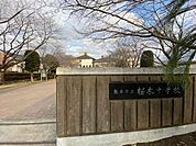 桜木中学校 900m