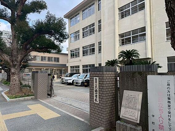 大楠小学校 5...
