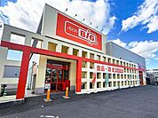 ザ・ビッグエクスプレス　南陽店 310m