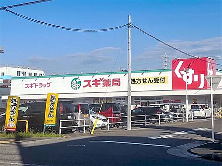 スギ薬局 油屋店 1210m