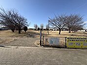 藤沢中央公園 730m