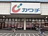 周辺：カワチ薬品入間店 500m