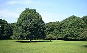 東高根森林公園 1520m