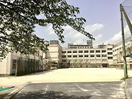 品川区立東海中学校 610m
