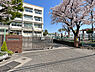 周辺：横浜市立樽町中学校（790m）