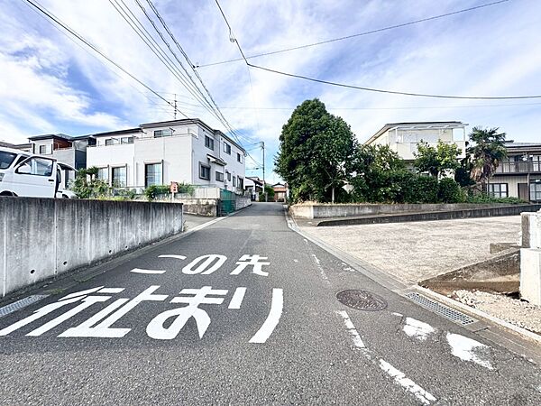 その他を拡大表示