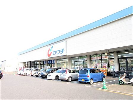 ドラックストア 「カワチ薬品真鍋店まで760m」
