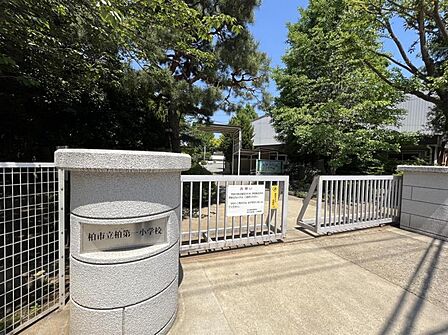 柏第一小学校 約700m 徒歩約9分