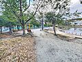 樋之池公園 徒...