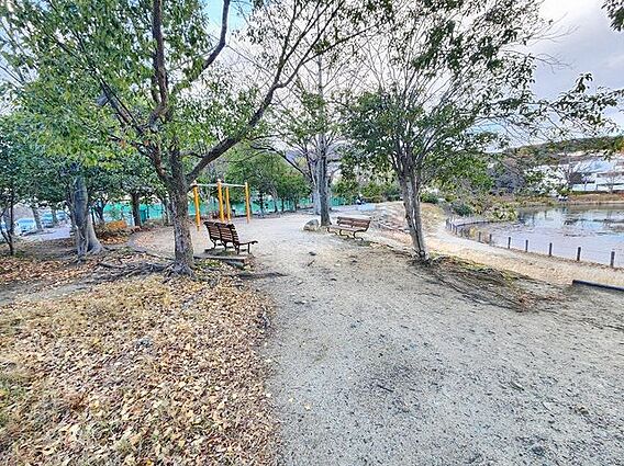 樋之池公園 徒...
